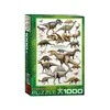 Dėlionė Eurographics KREIDINIO PERIODO DINOZAURAI 1000D.