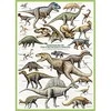 Dėlionė Eurographics KREIDINIO PERIODO DINOZAURAI 1000D.
