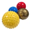 Mini kamuoliukas dygliuotas 15 cm