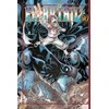 KNYGA Komiksas Manga Fairy tail vol 30