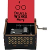 Muzikinė Dėžutė Harry Potter