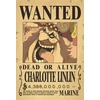 Plakatas One Piece