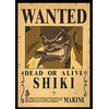 Plakatas One Piece