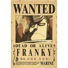 Plakatas One Piece