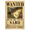 Plakatas One Piece