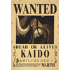 Plakatas One Piece