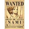 Plakatas One Piece