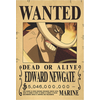Plakatas One Piece