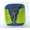 Lassig GIOSTYLE Kuprinė terminė Active Backpack 20, mėlynai-žalia
