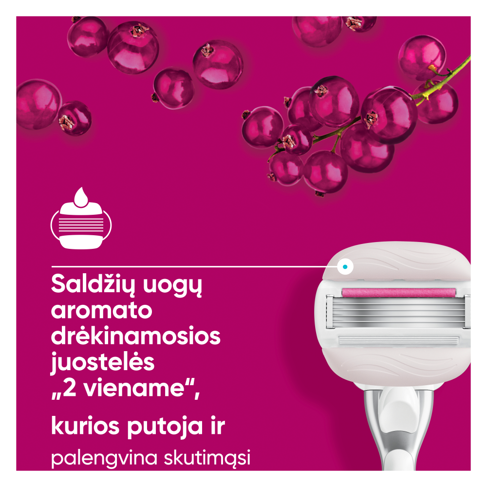 Gillette Venus Pro Comfortglide Sugarberry keičiamos skustuvo galvutės, 10 vnt. aprašymas - Prekės nuotrauka