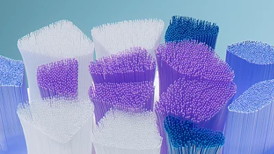 Philips Sonicare S2 Sensitive Standartinės „Sonic“ dantų šepetėlio galvutės HX6052/10 aprašymas - Prekės nuotrauka