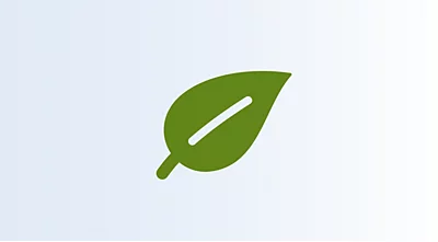 Philips Sonicare S2 Sensitive Standartinės „Sonic“ dantų šepetėlio galvutės HX6052/10 aprašymas - Prekės nuotrauka
