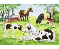 Ravensburger Dėlionė 2x24 vnt. - Arkliai