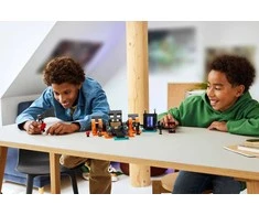 LEGO® Minecraft® Džiūsnų skeletų mūšis Žaidėjo dovana 21590
