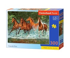 Castorland dėlionė Cascade Run 300 det.