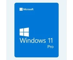 „Microsoft 1x Windows 11 Pro 64-Bit“ DVD OEM anglų kalba tarptautinė (EN)