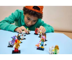 LEGO® 29 serija