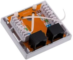 Tinklo Jungtis - Alantec GN011 Cat6 2-Port Balta