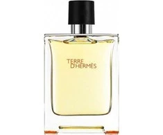 Hermes Terre D'hermes EDT tualetinis vanduo vyrams, 200 ml