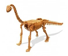 Archeologo rinkinys ,,Išsikask dinozaurą du kartus”, brachiosaurus