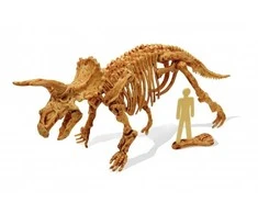 Archeologo rinkinys ,,Išsikask dinozaurą du kartus”, triceratops