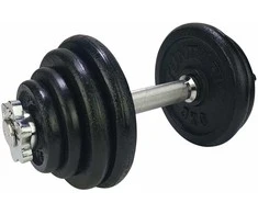 Svarmenų rinkinys Tunturi, 15 kg