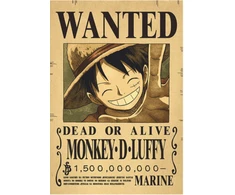 Plakatas One Piece