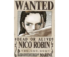 Plakatas One Piece
