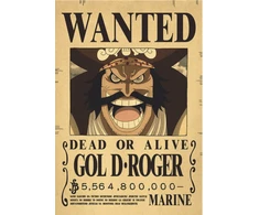 Plakatas One Piece