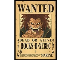 Plakatas One Piece