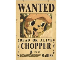 Plakatas One Piece