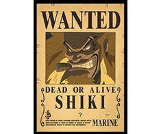 Plakatas One Piece