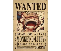 Plakatas One Piece