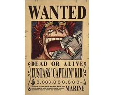Plakatas One Piece