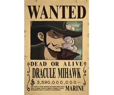 Plakatas One Piece