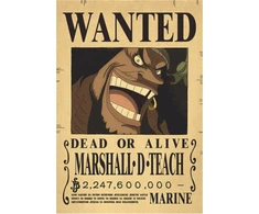 Plakatas One Piece