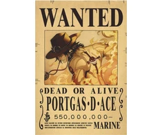 Plakatas One Piece