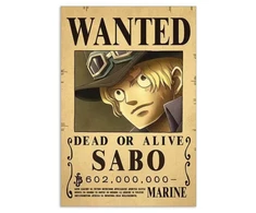 Plakatas One Piece