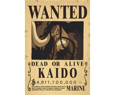 Plakatas One Piece