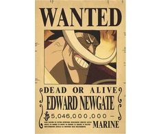 Plakatas One Piece