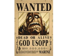Plakatas One Piece