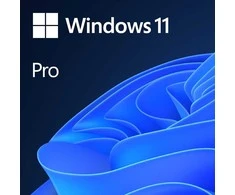 Operacinė sistema Microsoft Windows 11 Pro, 64 bitų, Angliška versija, OEI, DVD
