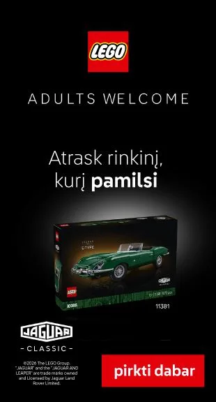 LEGO: Adults