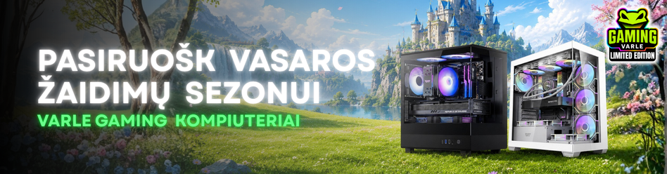 Varlė Gaming PC