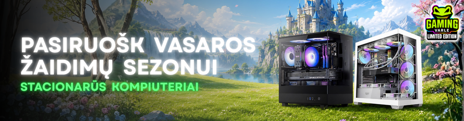 Varlė Gaming PC