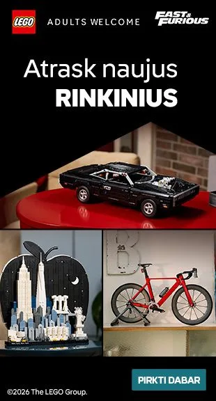 LEGO: Adults passions