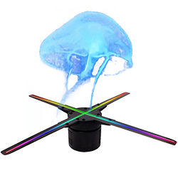 3D vaizdo hologramos