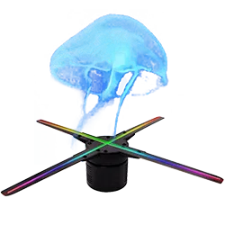 3D vaizdo hologramos