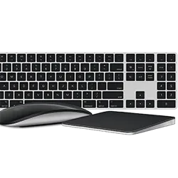 Apple pelės, klaviatūros ir kiti įvesties įrenginiai