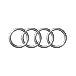 Audi kilimėliai